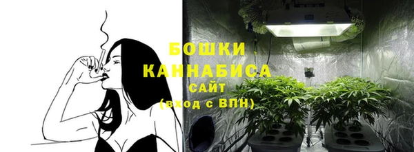 прущий лед Богородск