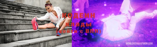 молекула духа Богданович