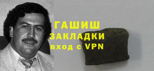 молекула духа Богданович