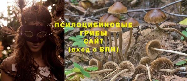 молекула духа Богданович