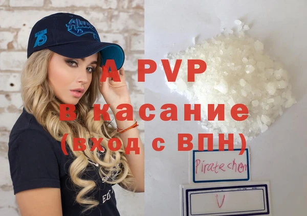 молекула духа Богданович