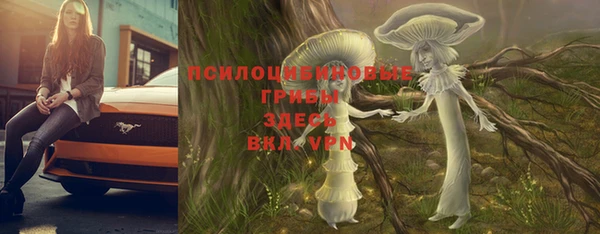 молекула духа Богданович